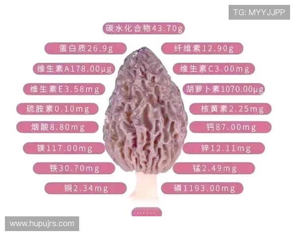 如何鉴定vs1441的真伪与质量标准详细指南