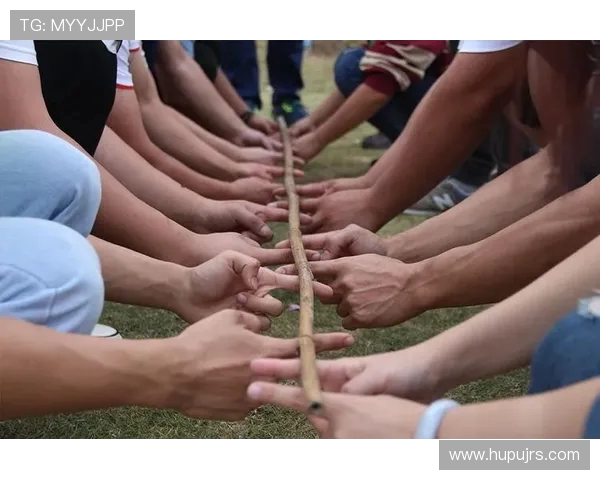 上海乒乓球队的团队协作精神与成功之路探讨