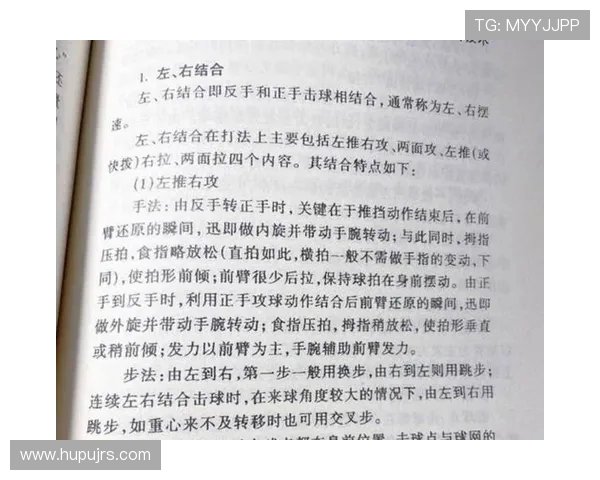 乒乓球快攻技艺揭秘：杭州乒乓球队的训练与战术分析
