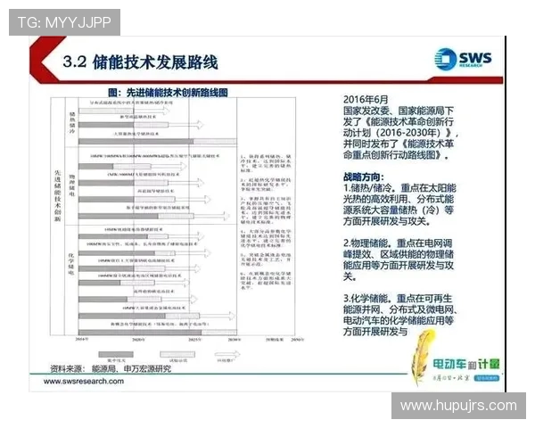 杭州飞盘队状态分析与未来发展展望探讨